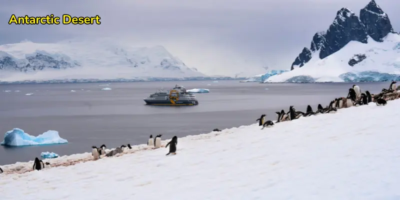 Antarctic desert image