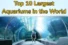 Largest Aquariums in the World