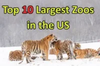 Largest Zoos in the US
