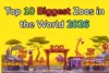 Top 10 Biggest Zoo in the World You Must Visit in 2026 - Post Thumbnail