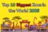 Top 10 Biggest Zoo in the World You Must Visit in 2026