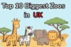 Top 10 Biggest Zoo in UK: Complete List 2026 - Post Thumbnail