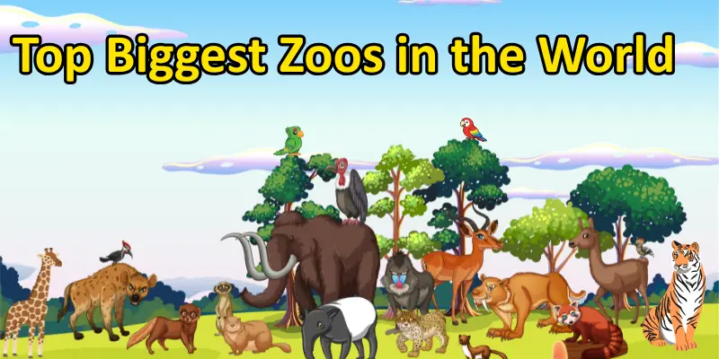 Top 10 biggest zoos in the world.