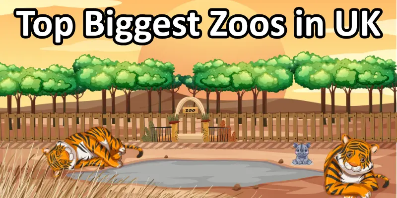 Top 10 biggest zoos in UK.