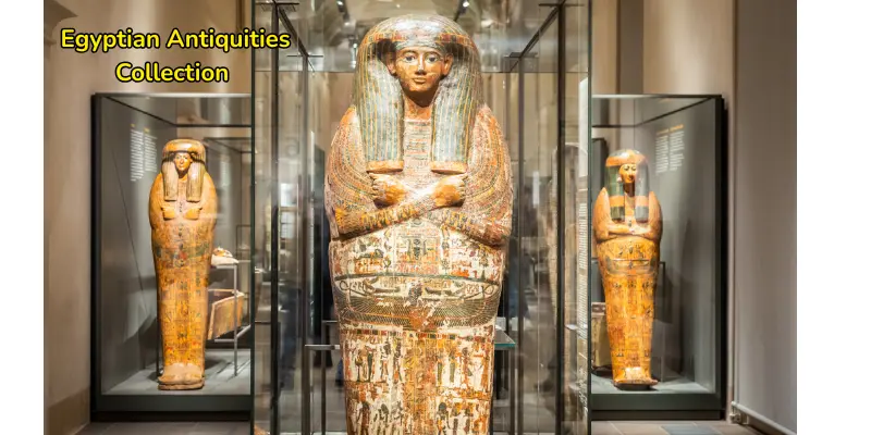 Egyptian antiquities collection image