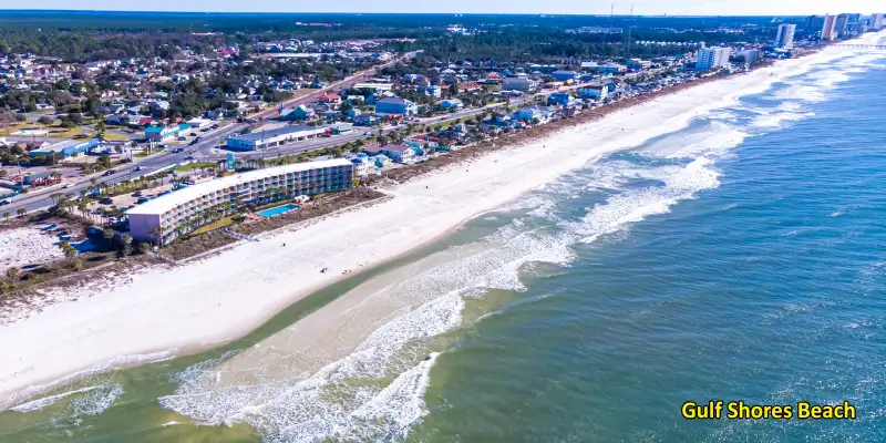 Gulf Shores beach image
