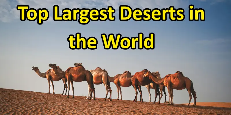 Top 10 largest deserts in the world