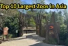 Top 10 Largest Zoos in Asia Ranked by Size & Area (2026 Guide) - Post Thumbnail