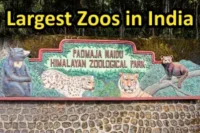 Top 10 Must-Visit Largest Zoos in India 2026