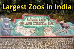 Top 10 Must-Visit Largest Zoos in India 2026