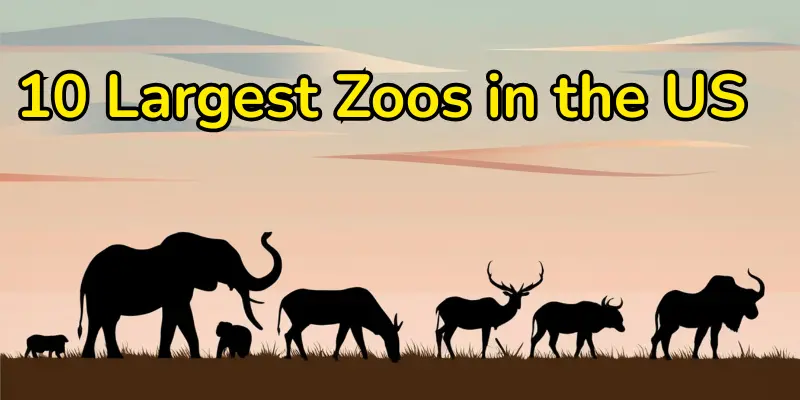 Top 10 largest zoos in the us
