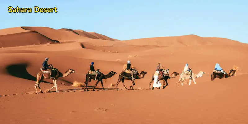 Sahara desert image