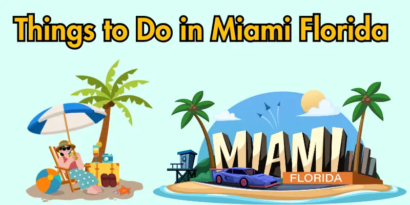 Things to do in miami florida