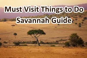 Best Things to Do in Savannah – Must Visit Places 2026