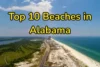 Top 10 Beaches in Alabama Ranked by Beauty & Experience (2026) - Post Thumbnail