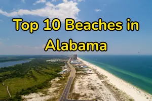 Top 10 Beaches in Alabama Ranked by Beauty & Experience (2026)