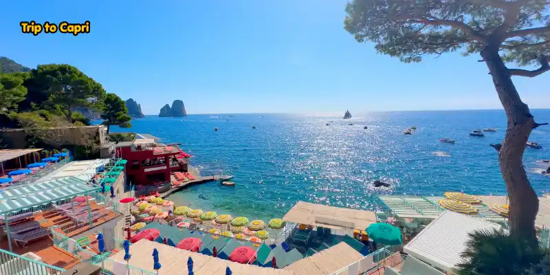 Take a day trip to capri.