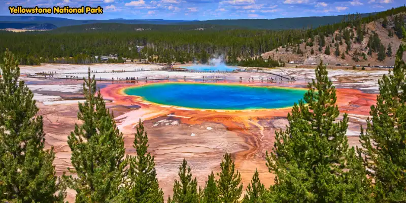 Yellowstone national park view