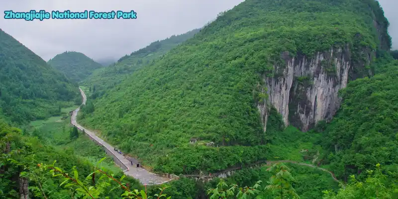 Zhangjiajie national forest park view.